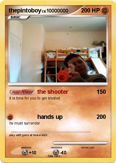 Pokemon thepintoboy