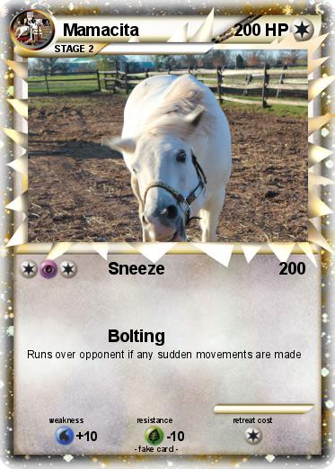 Pokemon Mamacita