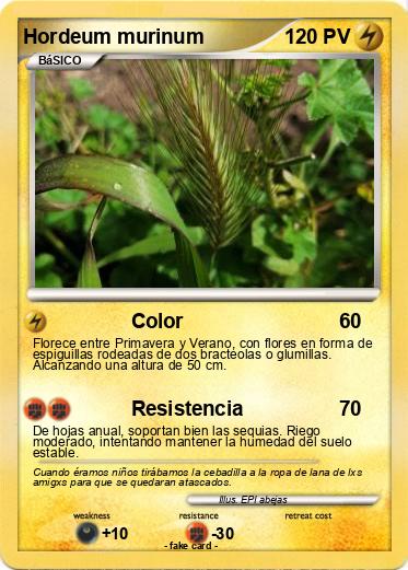 Pokemon Hordeum murinum
