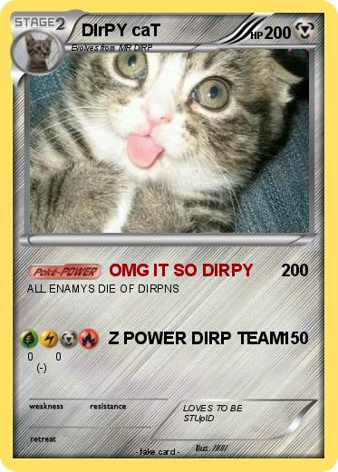Pokemon DIrPY caT