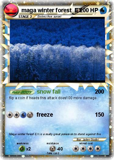 Pokemon maga winter forest  EX