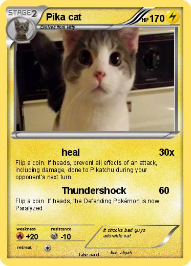 Pokemon Pika cat