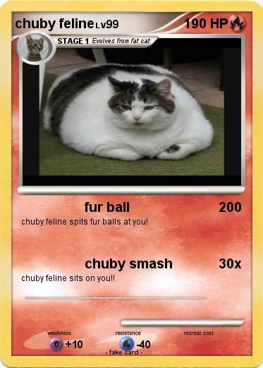 Pokemon chuby feline