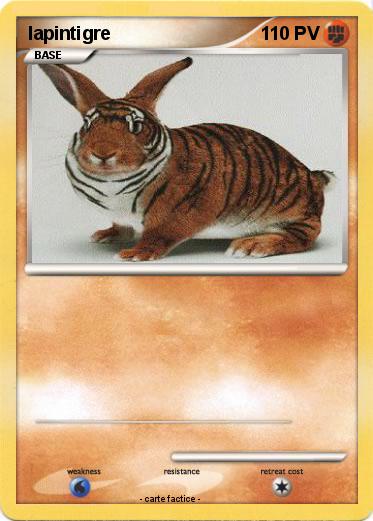Pokemon lapintigre