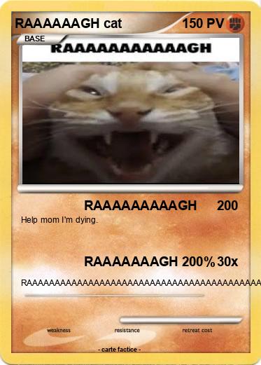 Pokemon RAAAAAAGH cat