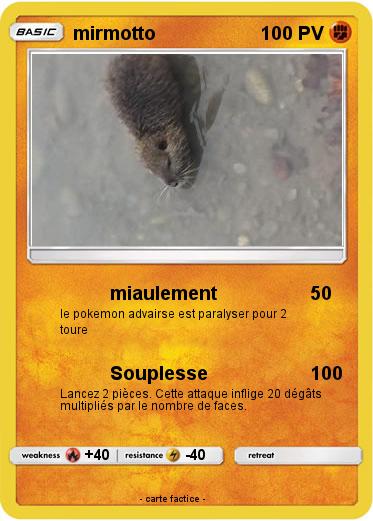 Pokemon mirmotto