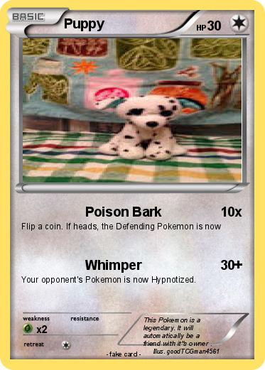Pokemon Puppy