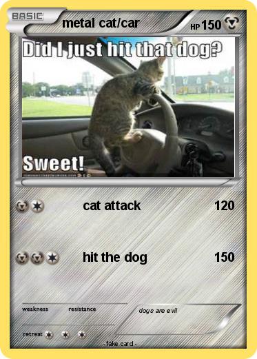 Pokemon metal cat/car