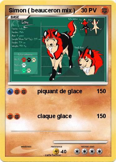 Pokemon Simon ( beauceron mix )