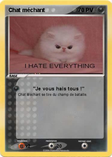 Pokemon Chat méchant