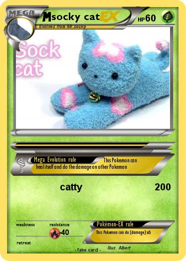 Pokemon socky cat