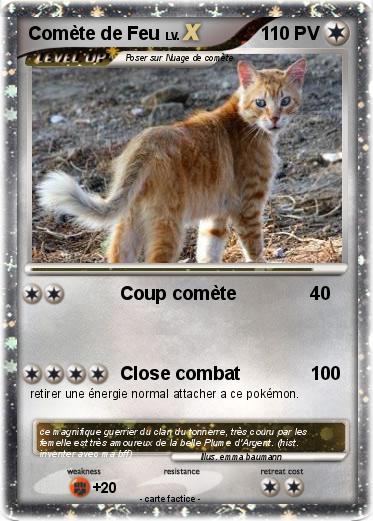 Pokemon Comète de Feu