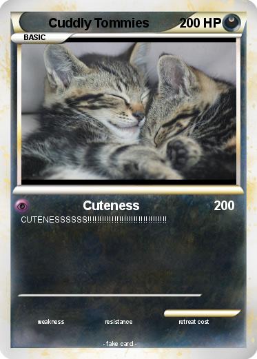 Pokemon Cuddly Tommies