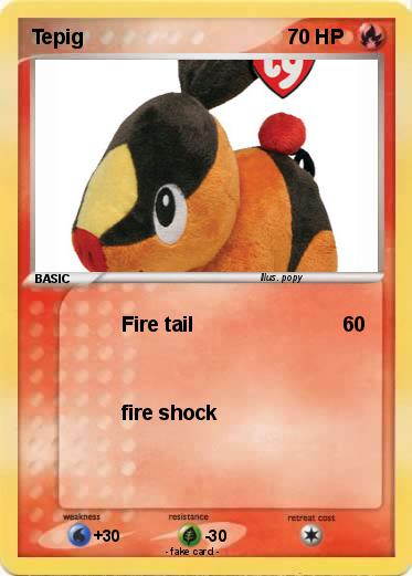 Pokemon Tepig