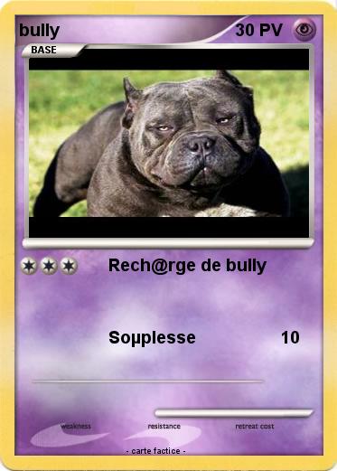 Pokemon bully
