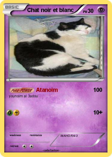 Pokemon Chat noir et blanc