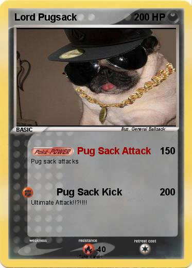 Pokemon Lord Pugsack