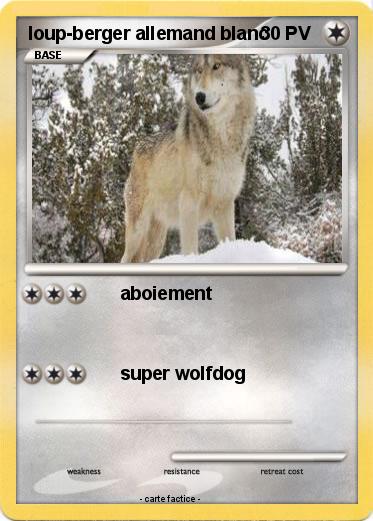 Pokemon loup-berger allemand blanc