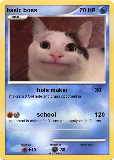 Pokemon basic boss
