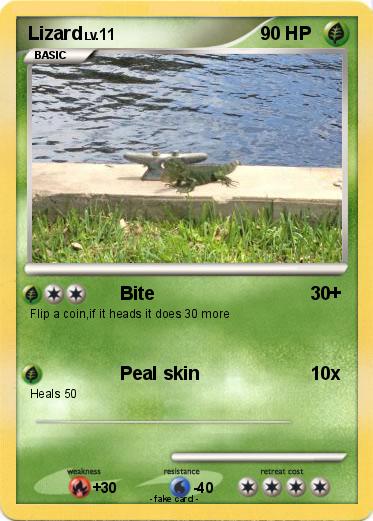 Pokemon Lizard