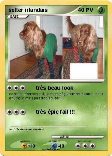 Pokemon setter irlandais