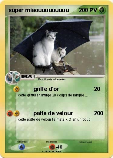 Pokemon super miaouuuuuuuuu