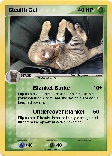Pokemon Stealth Cat