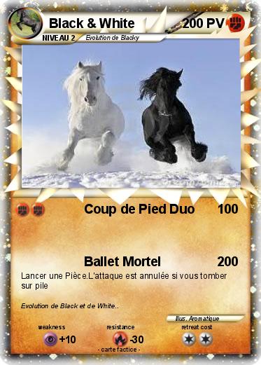 Pokemon Black & White