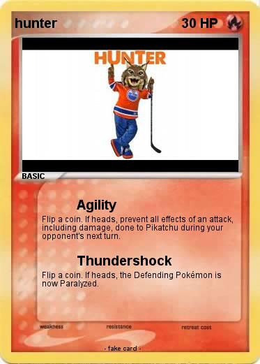 Pokemon hunter