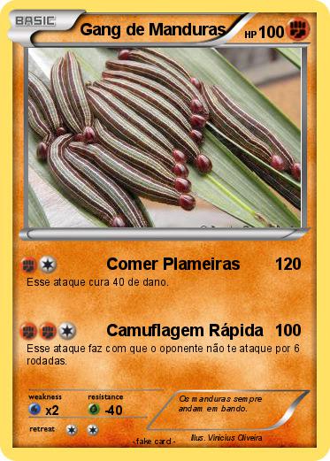 Pokemon Gang de Manduras