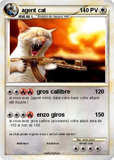 Pokemon agent cat