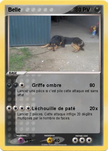 Pokemon Belle