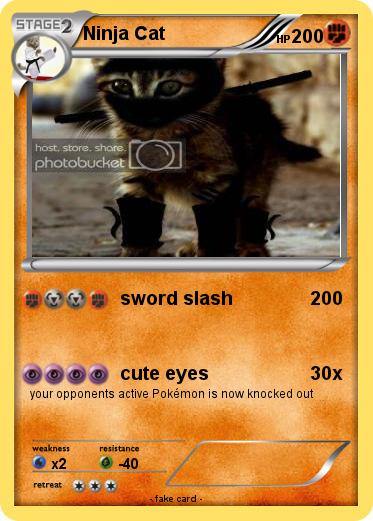 Pokemon Ninja Cat
