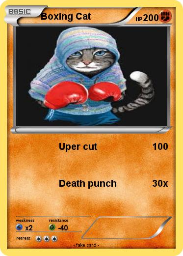 Pokemon Boxing Cat