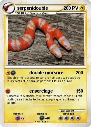 Pokemon serpentdouble