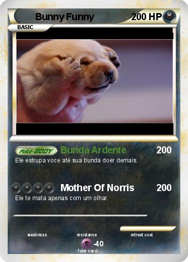 Pokemon Bunny Funny