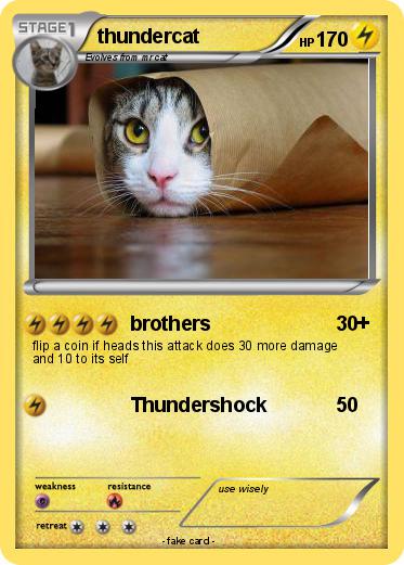 Pokemon thundercat