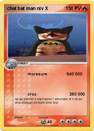 Pokemon chat bat man niv X