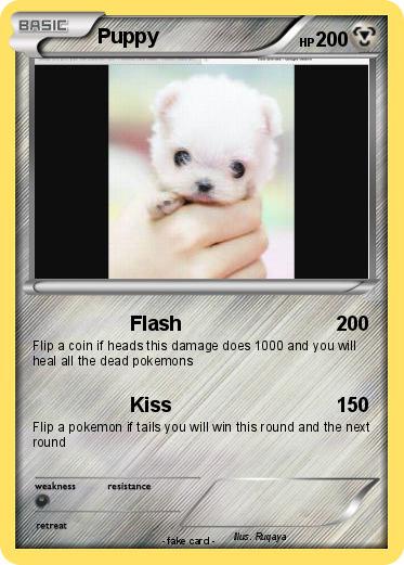 Pokemon Puppy