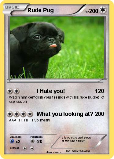 Pokemon Rude Pug