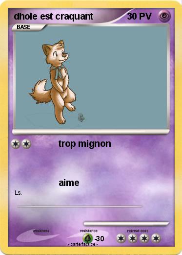 Pokemon dhole est craquant