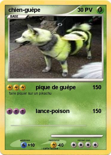 Pokemon chien-guèpe