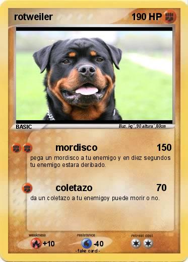 Pokemon rotweiler