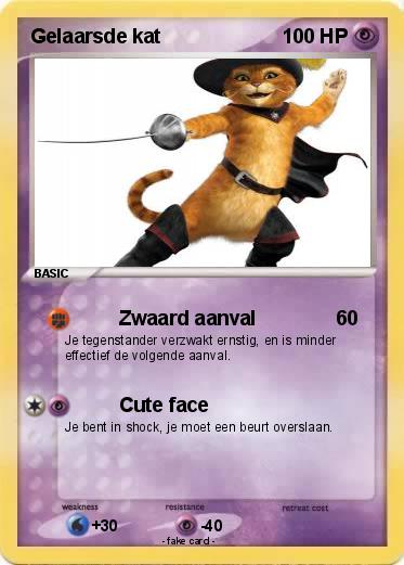 Pokemon Gelaarsde kat