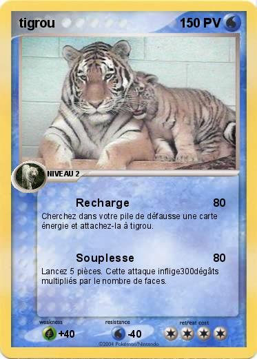 Pokemon tigrou