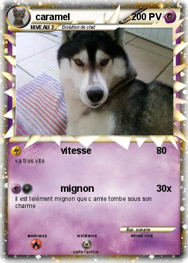 Pokemon caramel