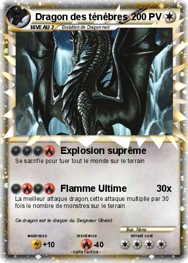 Pokemon Dragon des ténèbres