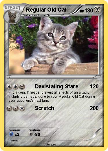 Pokemon Regular Old Cat