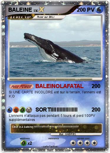 Pokemon BALEINE