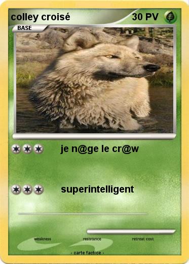 Pokemon colley croisé